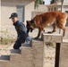 Major Terrorism K-9 Unit dog training