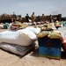 Humanitarian aid supplies distributed in Basrah