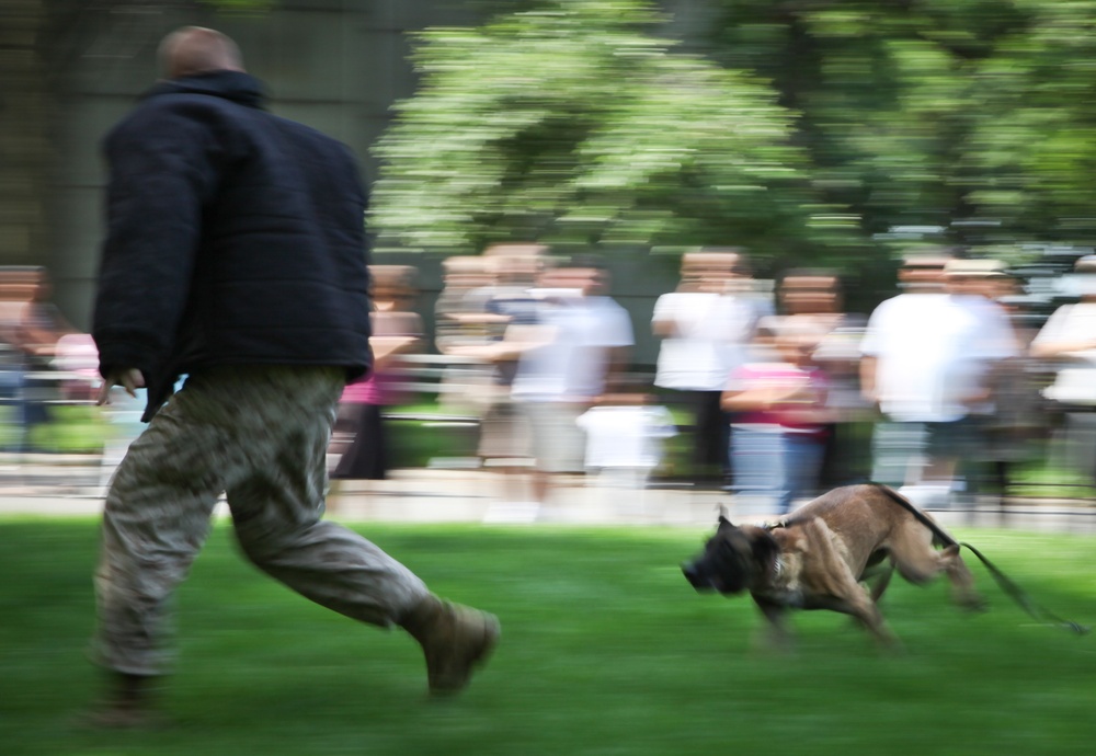 Marines and military working dogs at New York's Battery Park