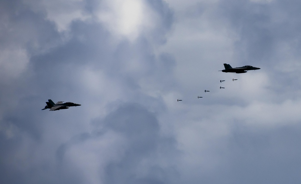 USS Carl Vinson action