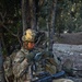 Operation Oqab Behar VI