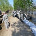 North Dakota National Guard supports Corps of Engineers flood fight efforts