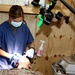 Combat readiness through dental health