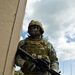 Task Force Scorpion Training