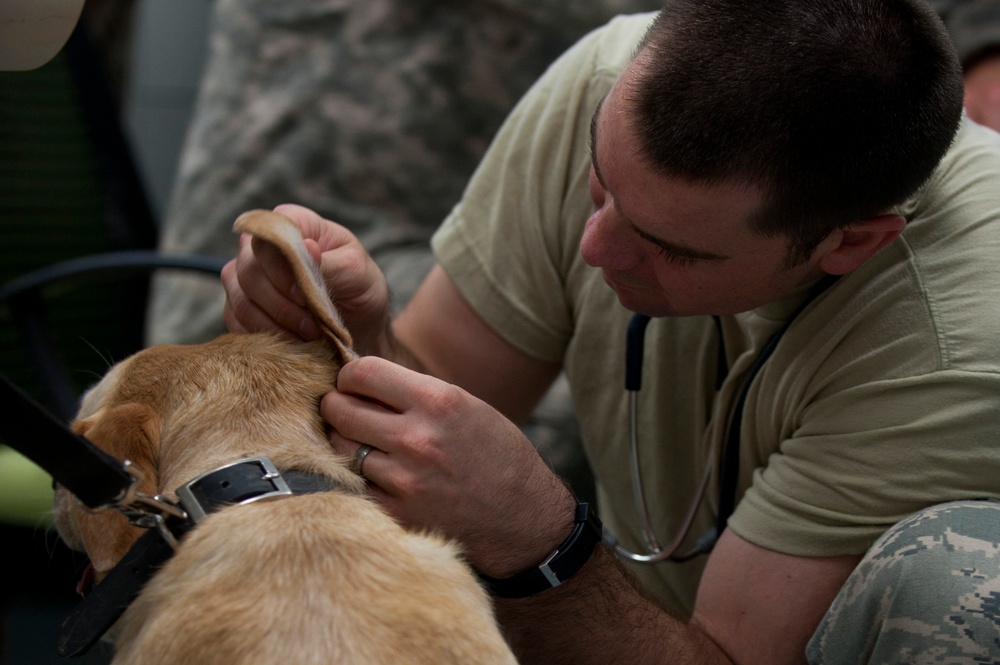 Camp Leatherneck Veterinary Clinic