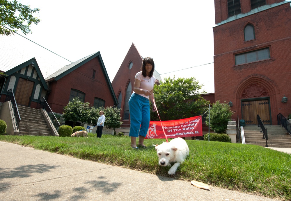 Army Reserve civil affairs soldiers extend helping hands to furry friends