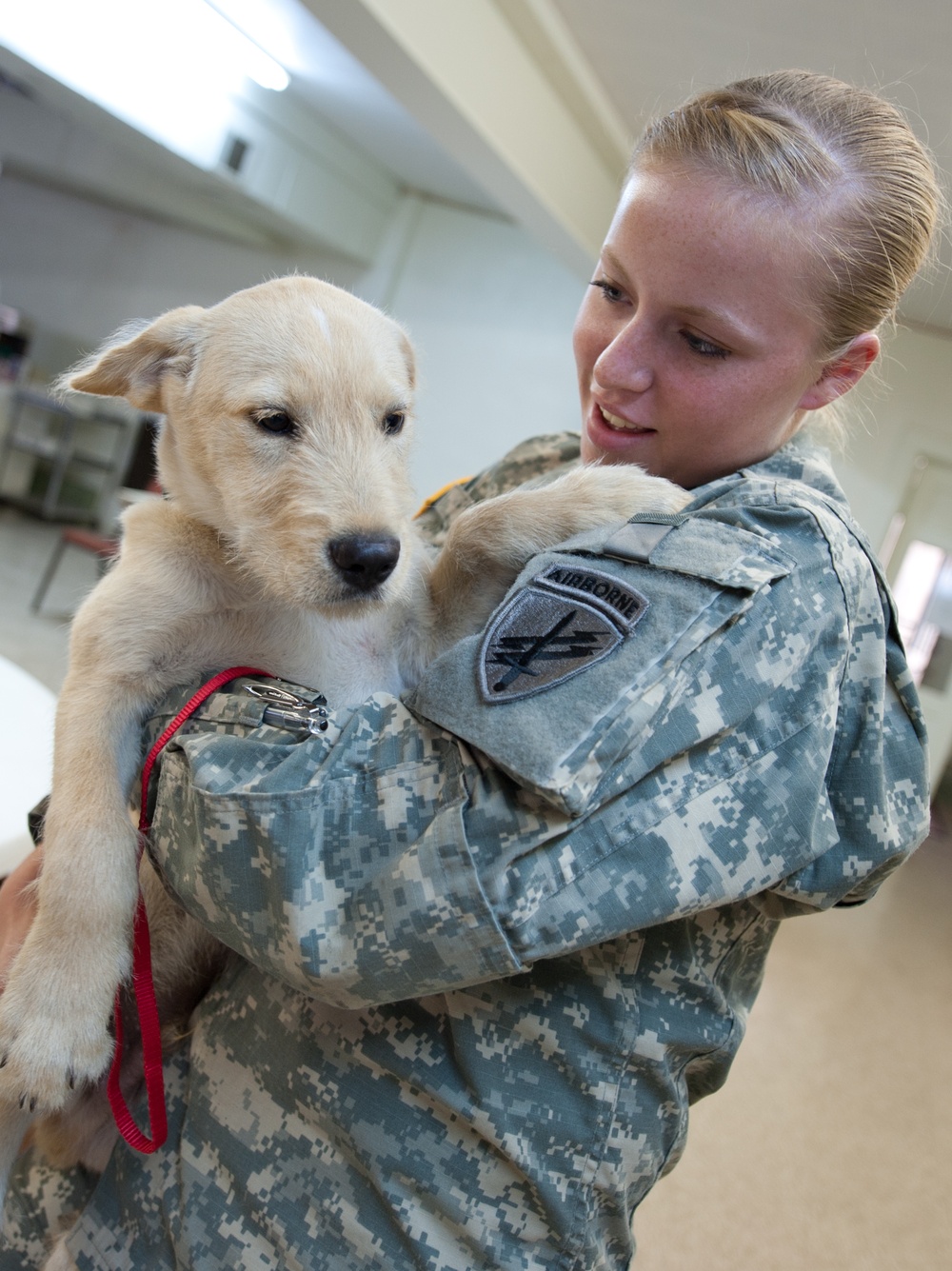 Army Reserve civil affairs soldiers extend helping hands to furry friends