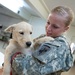 Army Reserve civil affairs soldiers extend helping hands to furry friends