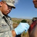 US medics build field hospital