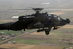 Flying Tigers fly flags