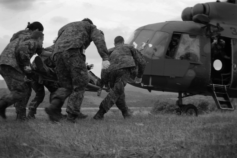 Macedonian armed forces provide the gift of life