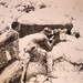 3/8 Marine turns combat illustrator