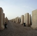 ‘Cement Sentinels’ stand silent guard