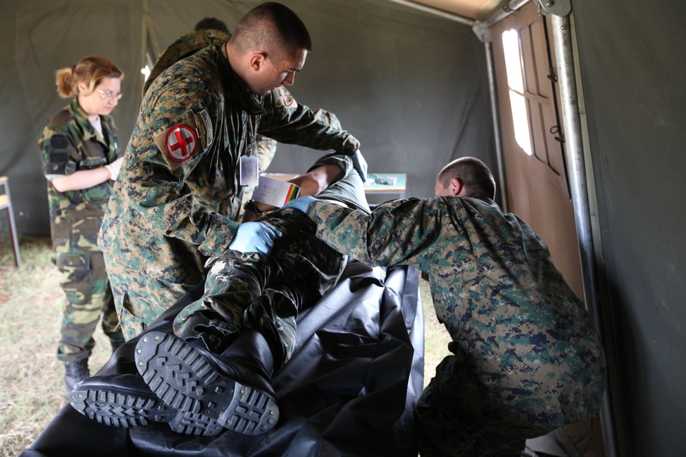 Partner nations execute live exercise in MEDCEUR 11