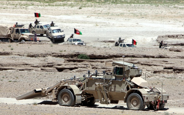 The thin line between crazy, brave