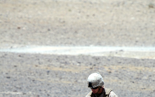 The thin line between crazy, brave