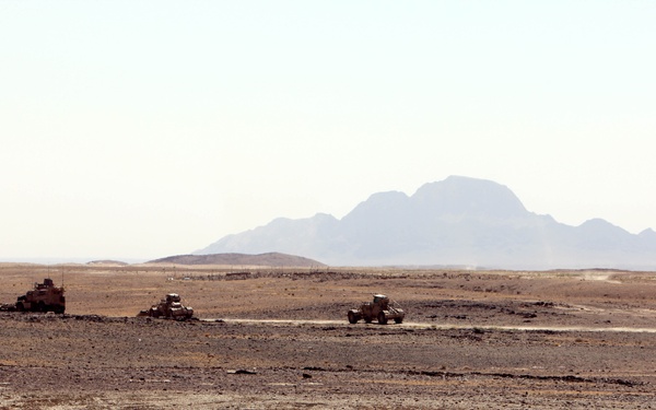 The thin line between crazy, brave