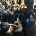 Petroleum supply