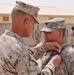 Twelve Task Force Overlord soldiers awarded the Purple Heart Medal