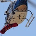 California police train soldiers to use medevacs