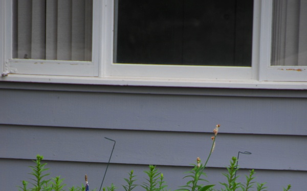 Riv-r-land development