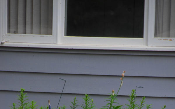 Riv-r-land development