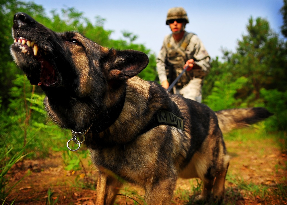 51st Fighter Wing security forces