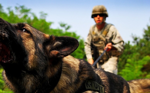 51st Fighter Wing security forces