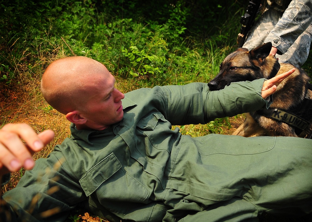 51st Fighter Wing security forces