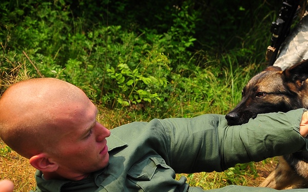 51st Fighter Wing security forces