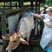 Soldiers promote Surinamese animal health