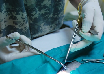 Soldiers promote Surinamese animal health