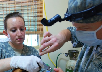 Soldiers promote Surinamese animal health