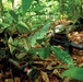 US Marines, sailors share best practices with Malaysian Rangers