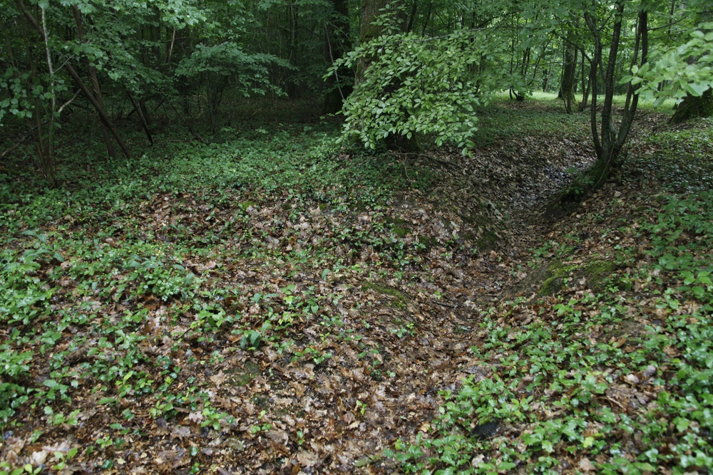 2nd MAW sergeants pay homage to hallowed grounds of Belleau Wood