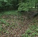 2nd MAW sergeants pay homage to hallowed grounds of Belleau Wood