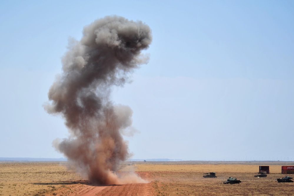 2011 capabilities exercise