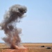 2011 capabilities exercise