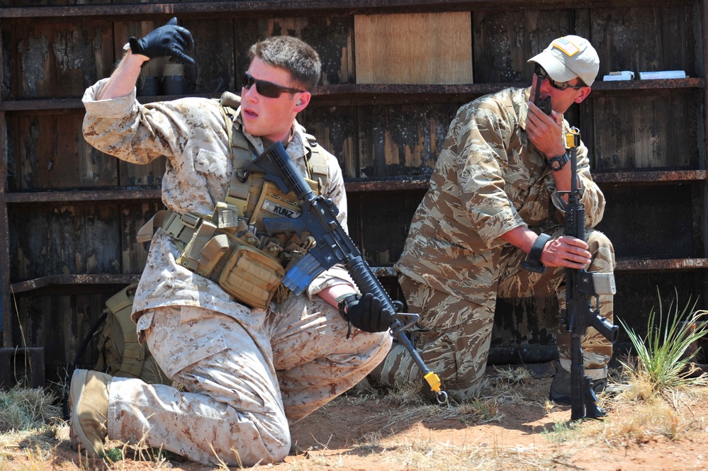 2011 capabilities exercise