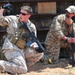 2011 capabilities exercise