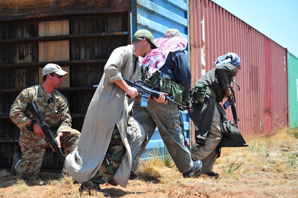 2011 capabilities exercise