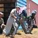 2011 capabilities exercise