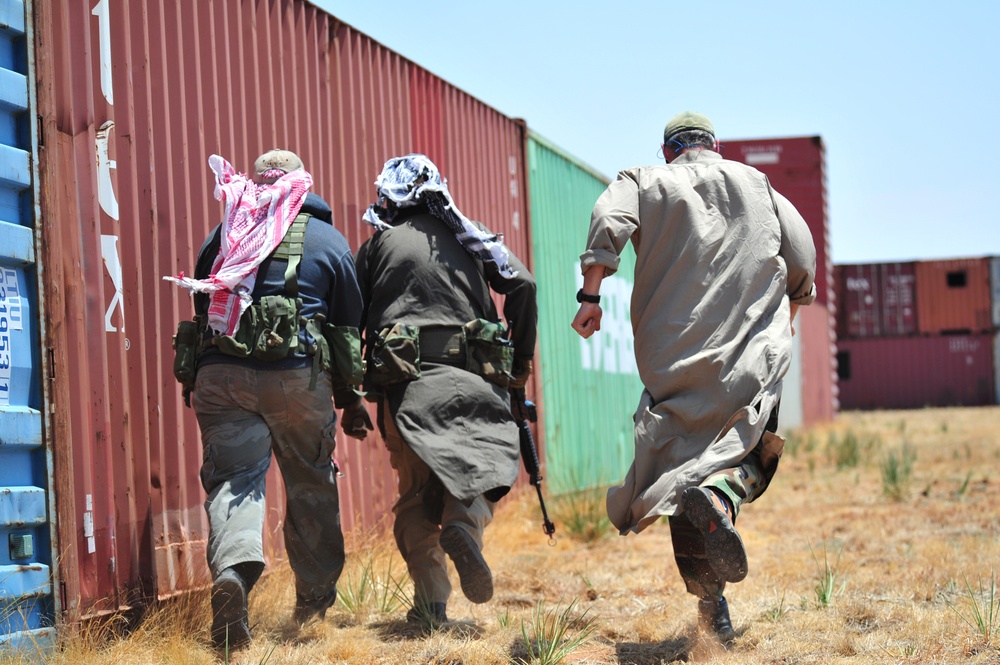 2011 capabilities exercise