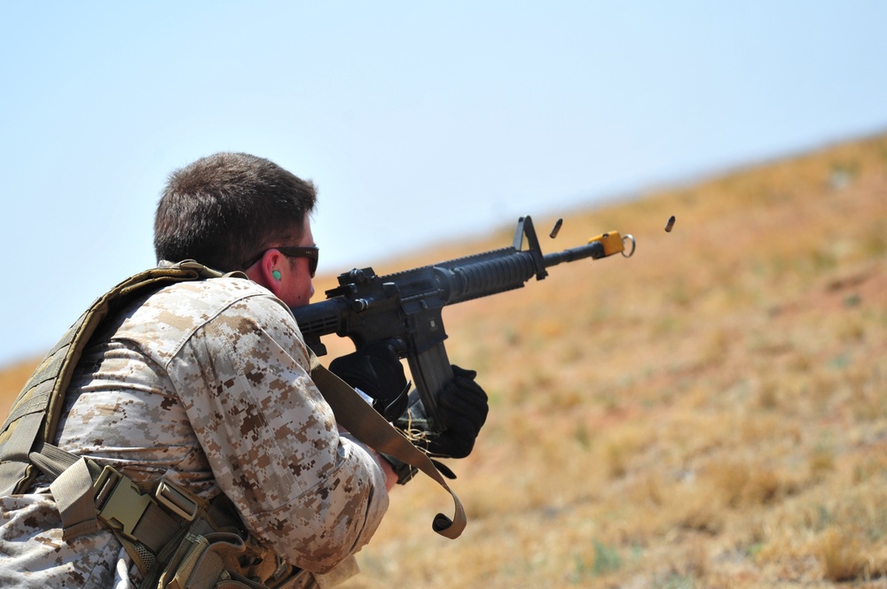 2011 capabilities exercise