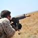 2011 capabilities exercise