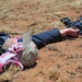 2011 capabilities exercise