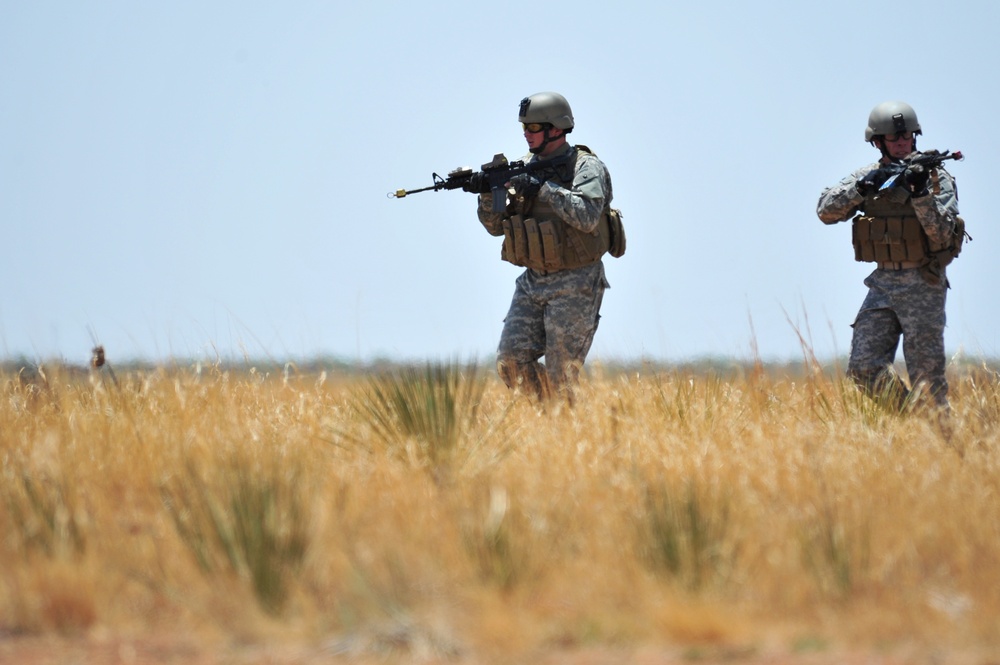 2011 capabilities exercise