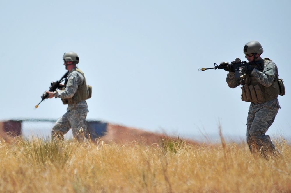 2011 capabilities exercise