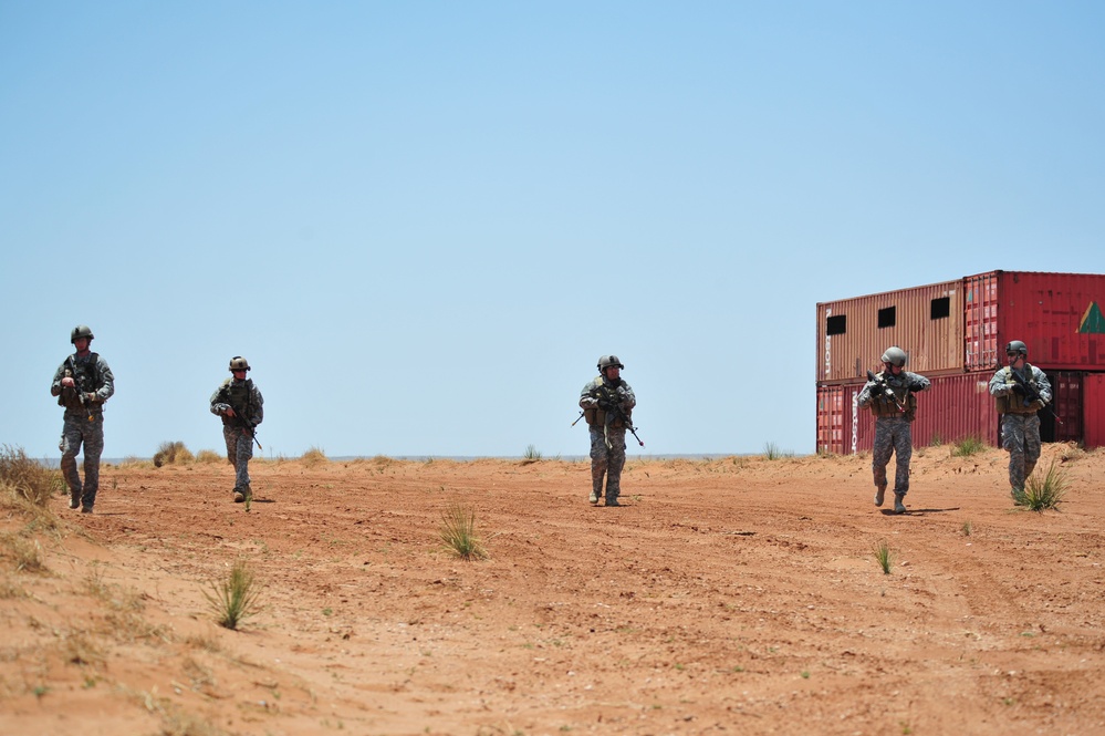 2011 capabilities exercise