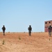 2011 capabilities exercise